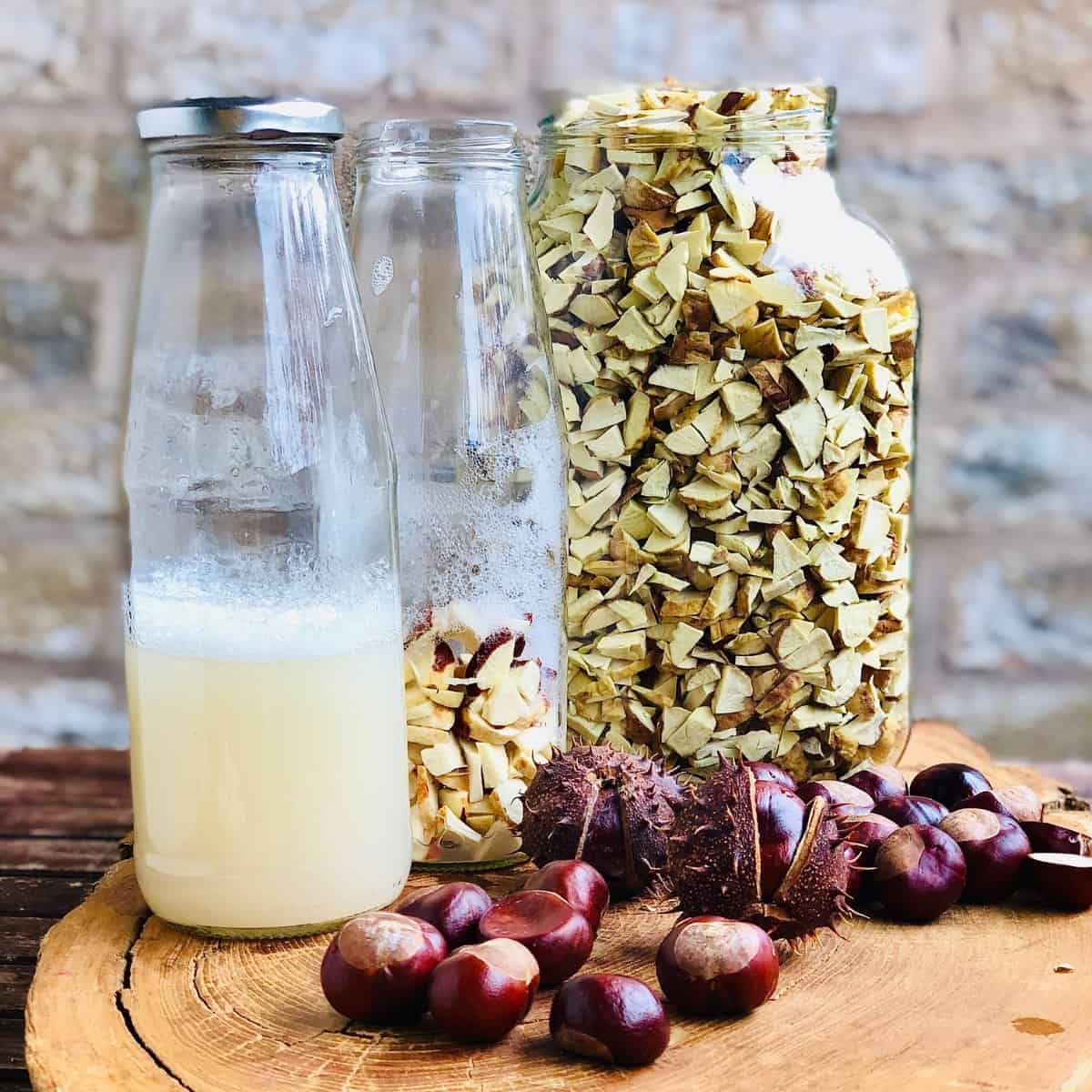 Two bottles of natural laundry detergent made with conkers. One contains conkers in liquid, one contains strained liquid only.