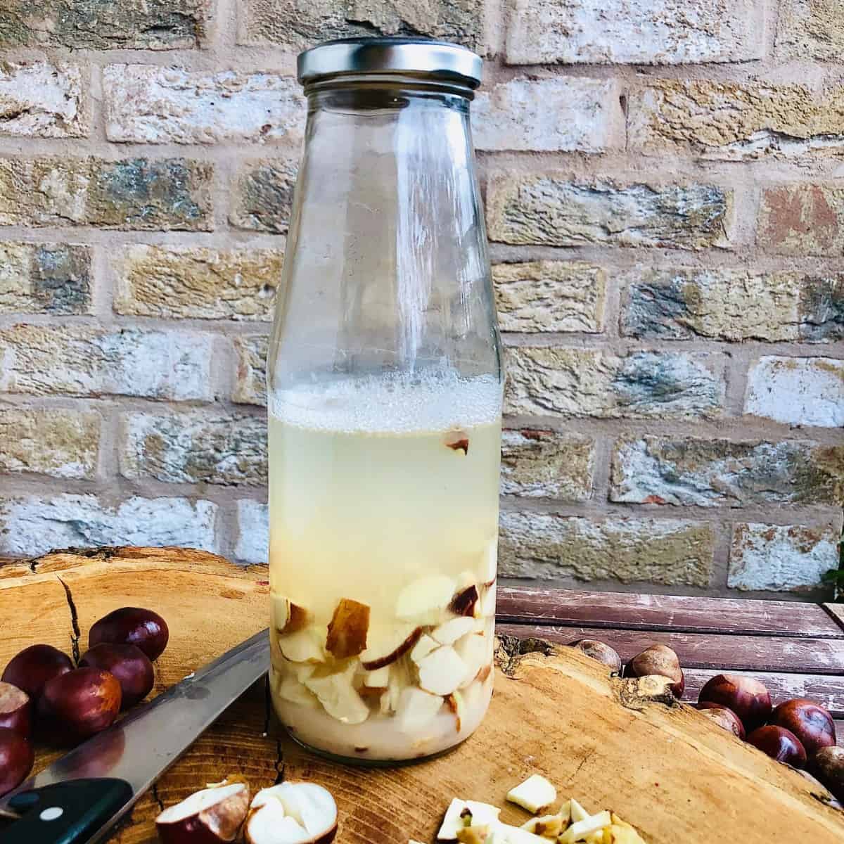 A bottle containing steeping conkers in water.
