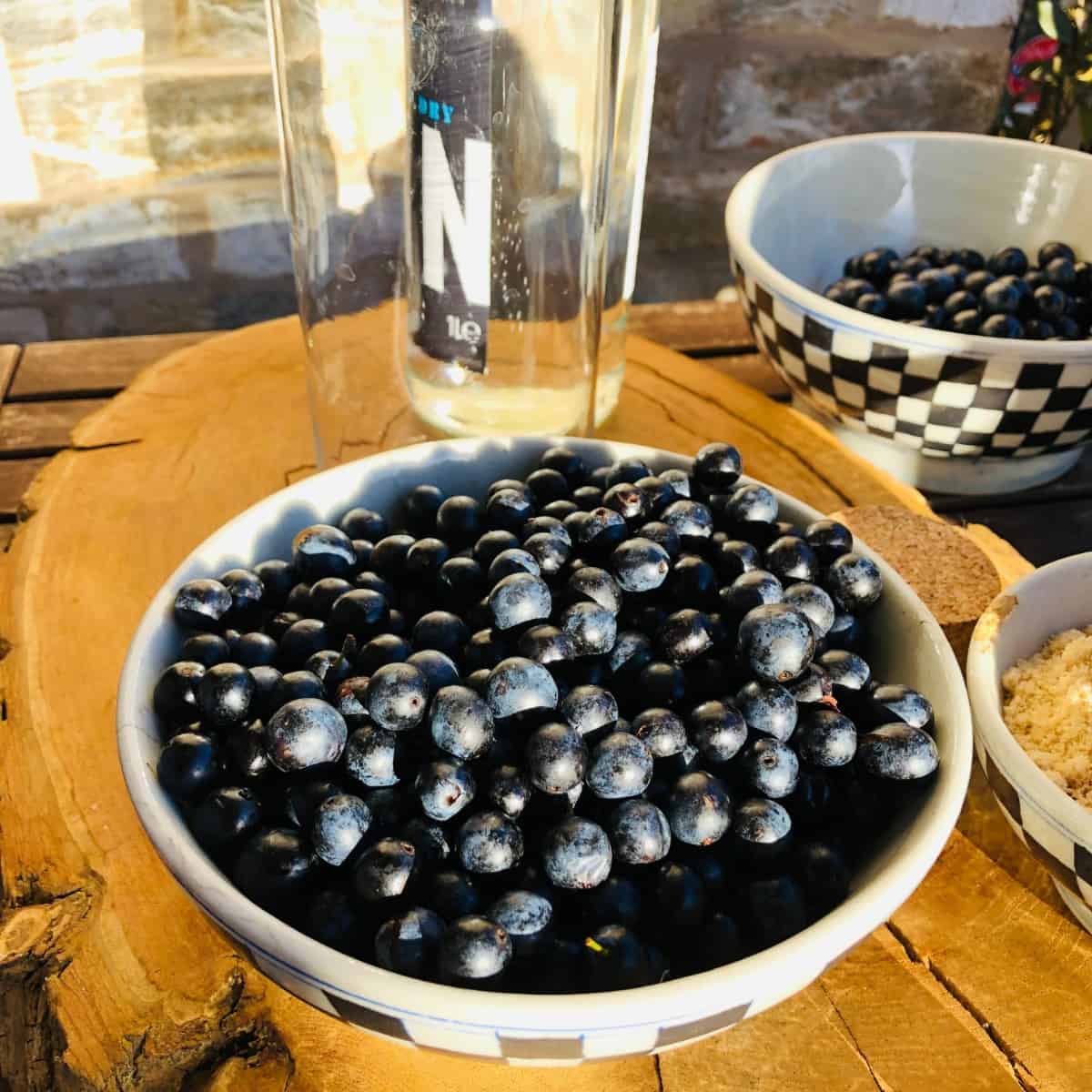 A bowl of sloes with a bottle of gin in the background