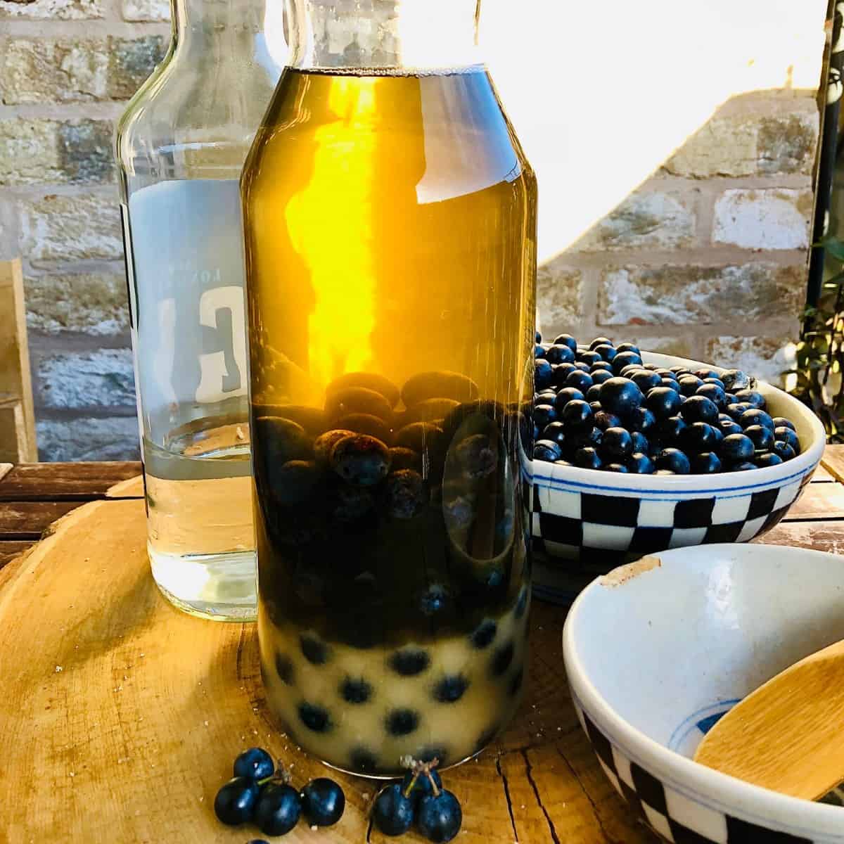 A large glass jar containing sloe berries infusing in gin