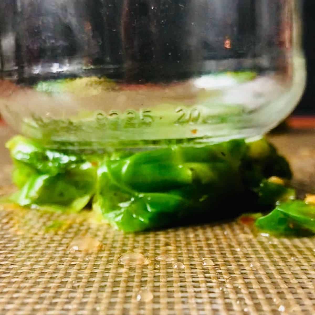 Close up of a smashed Brussel sprout squashed by a glass jar