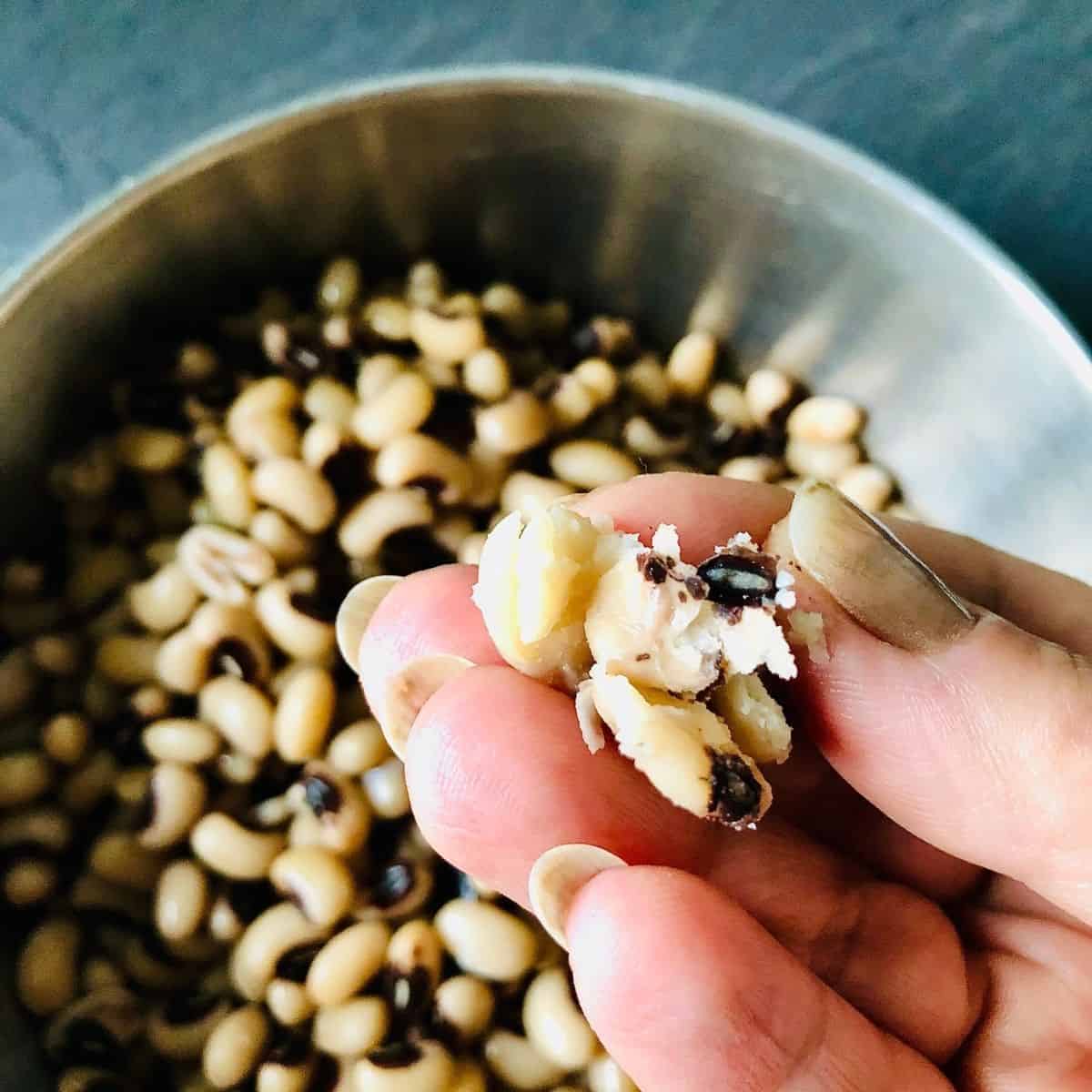 Hand holding crushed cooked black eyed peas between fingers over a bowl of black eyed peas