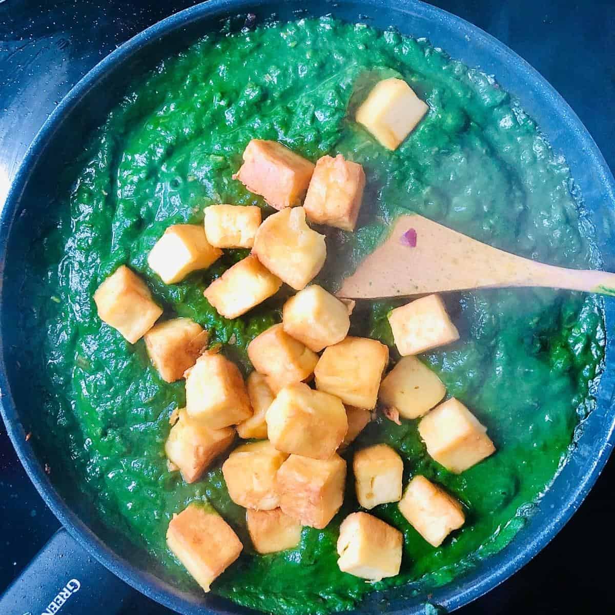 Fried gram flour paneer cubes added to the palak paneer base mix