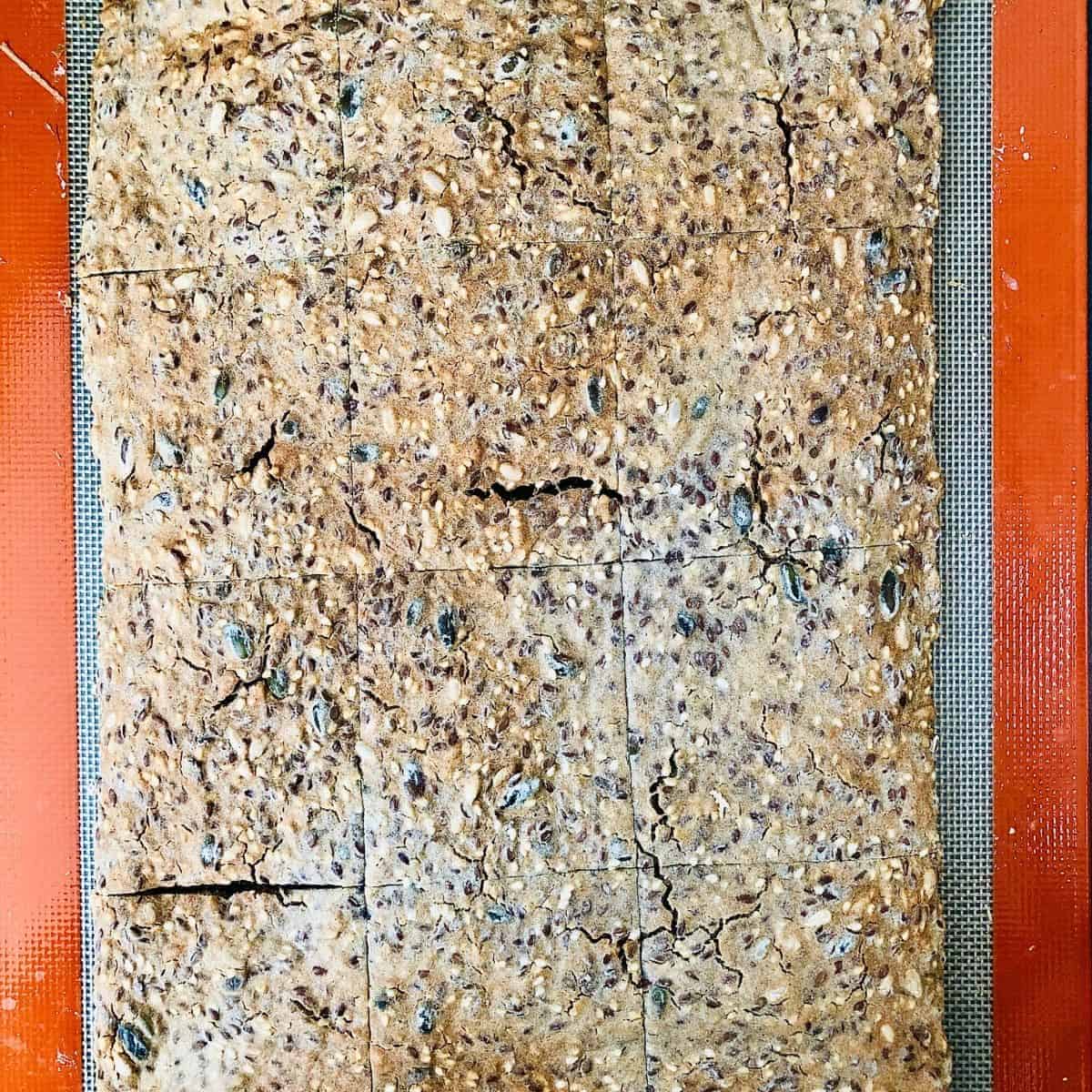 A sheet of cooked buckwheat cracker dough ready to divide into individual crackers