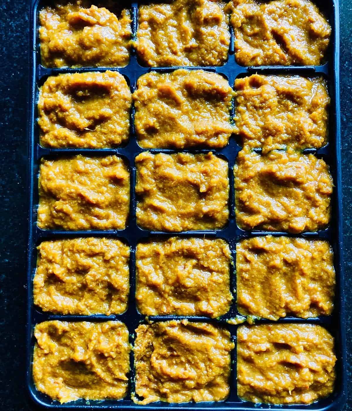 Ice cube tray containing Indian gravy cube mix, ready for freezing