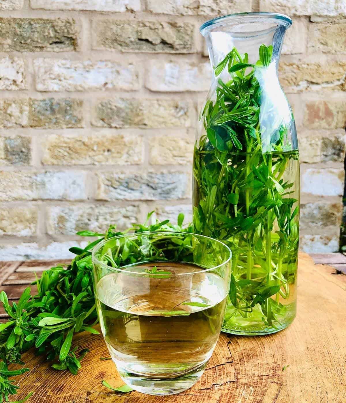 Pitcher containing cleavers infusing in water with a glass of cleaver infused water