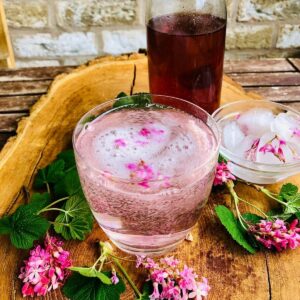 A glass of sparkling flowering currant cordial.