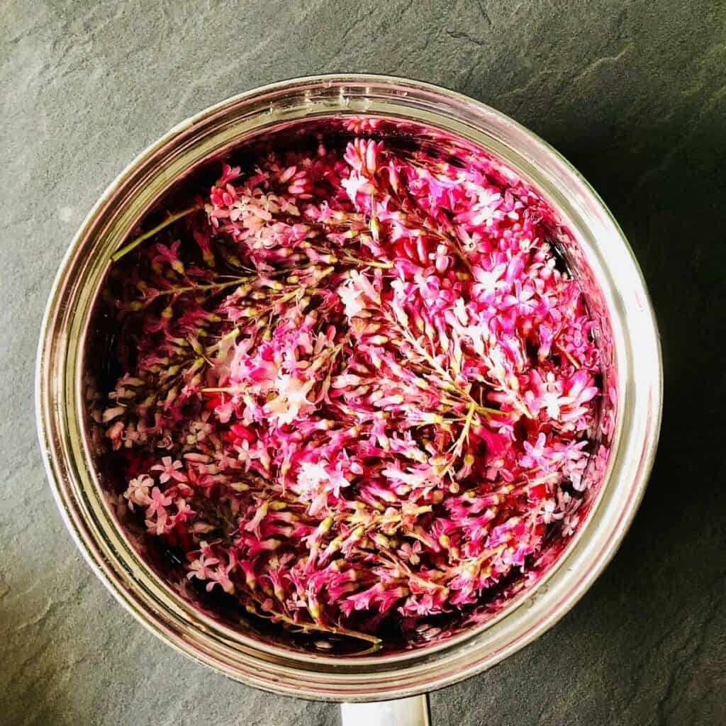 Flowering currant flower heads in a sugar solution in a saucepan