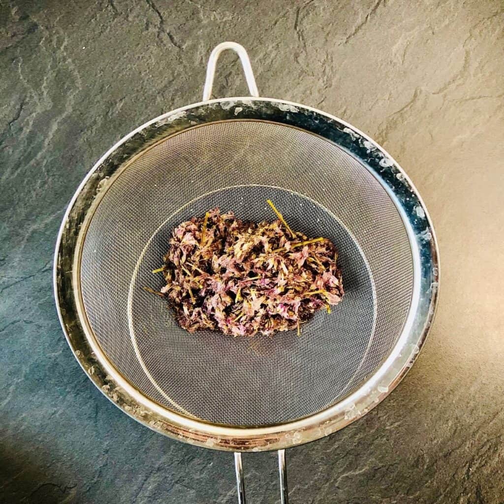 A fine meshed sieve containing strained flowering current flower heads