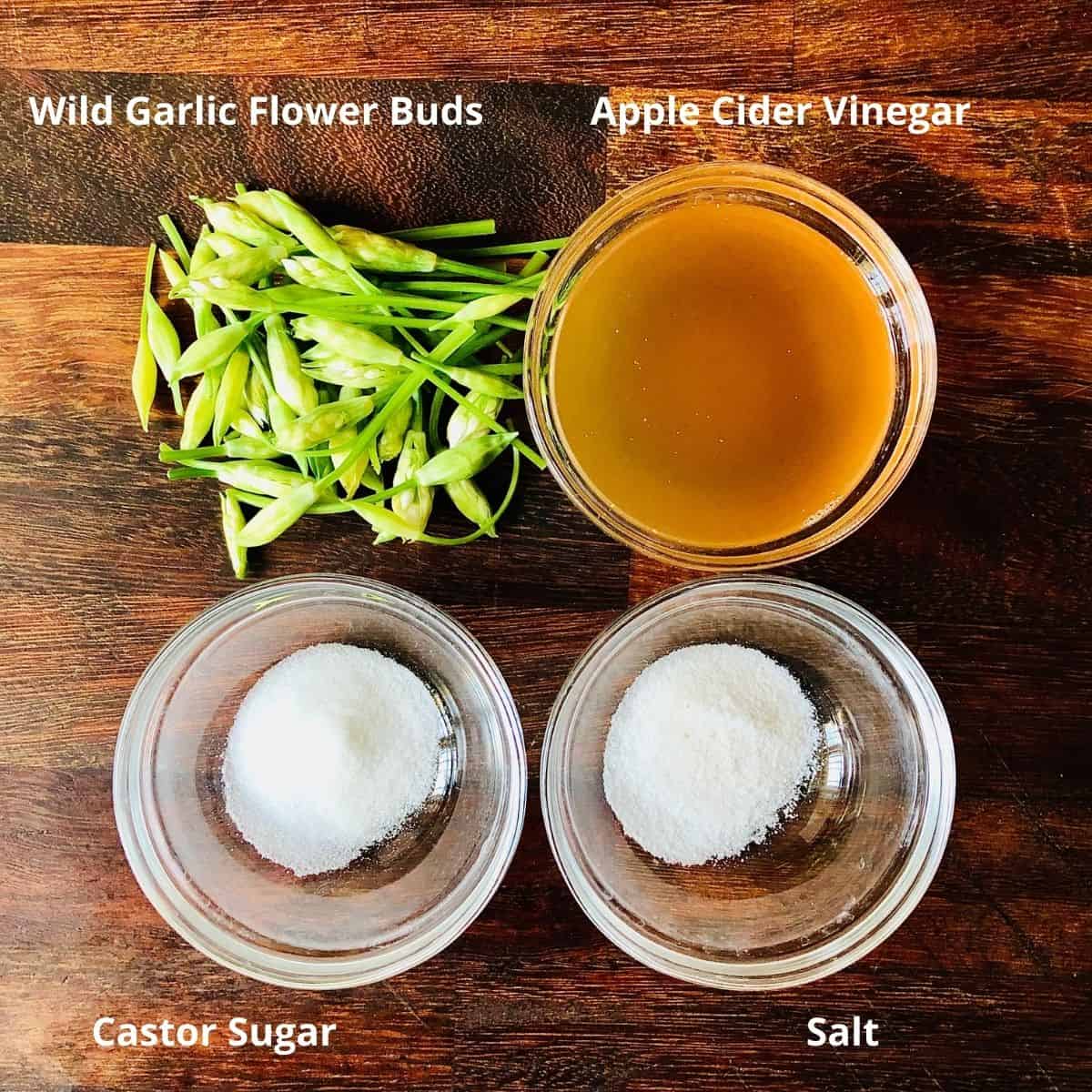 Ingredients for pickled wild garlic flower buds in shallow dishes. Annotated