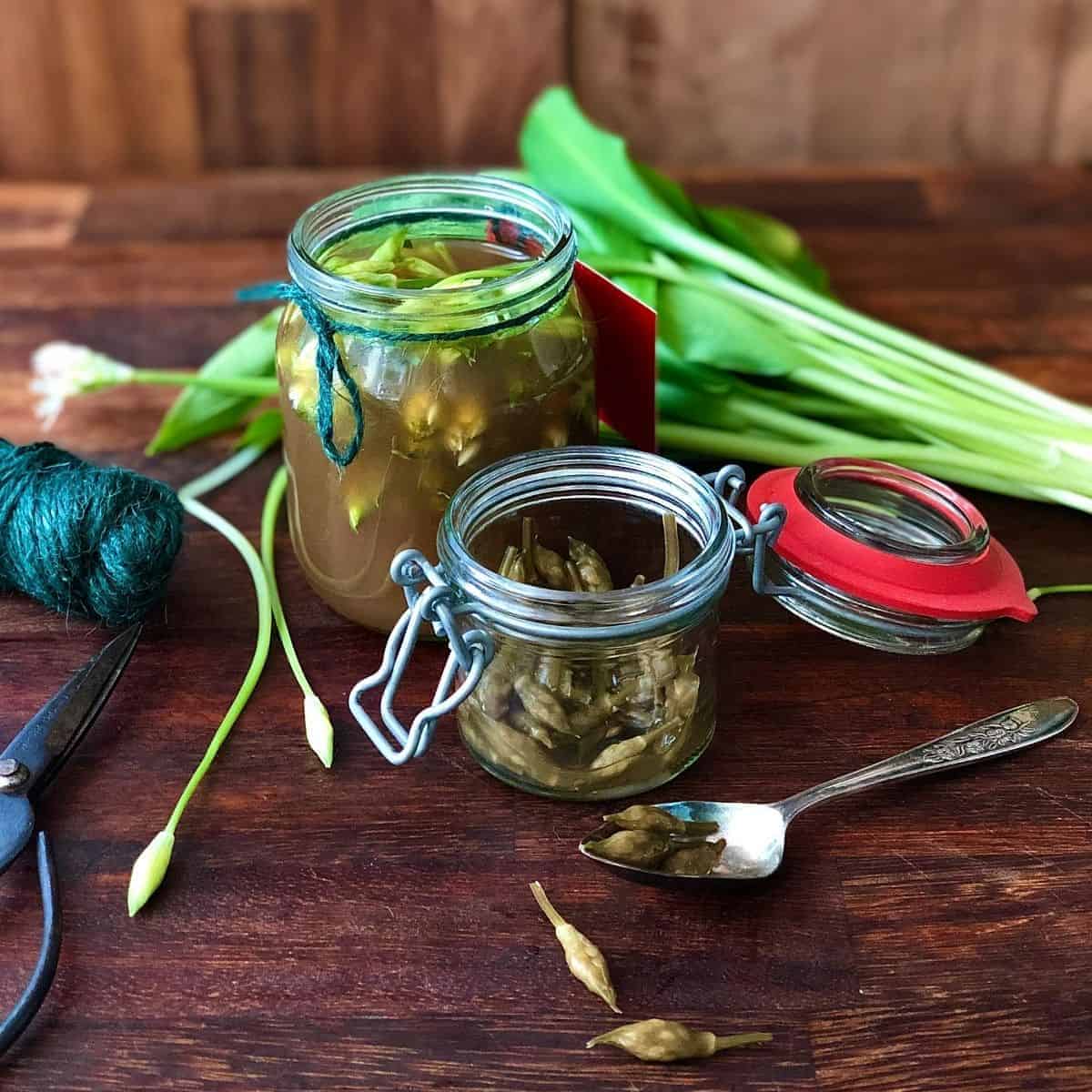 Two small jars containing pickled wild garlic flower buds