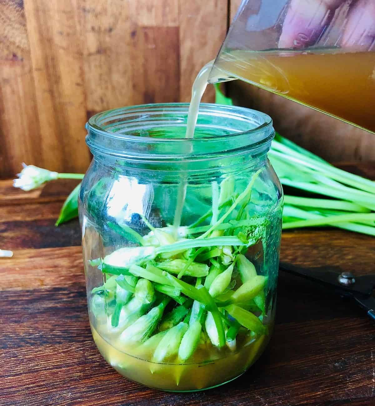 Pouring apple cider vinegar into a jar containing wild garlic flower buds