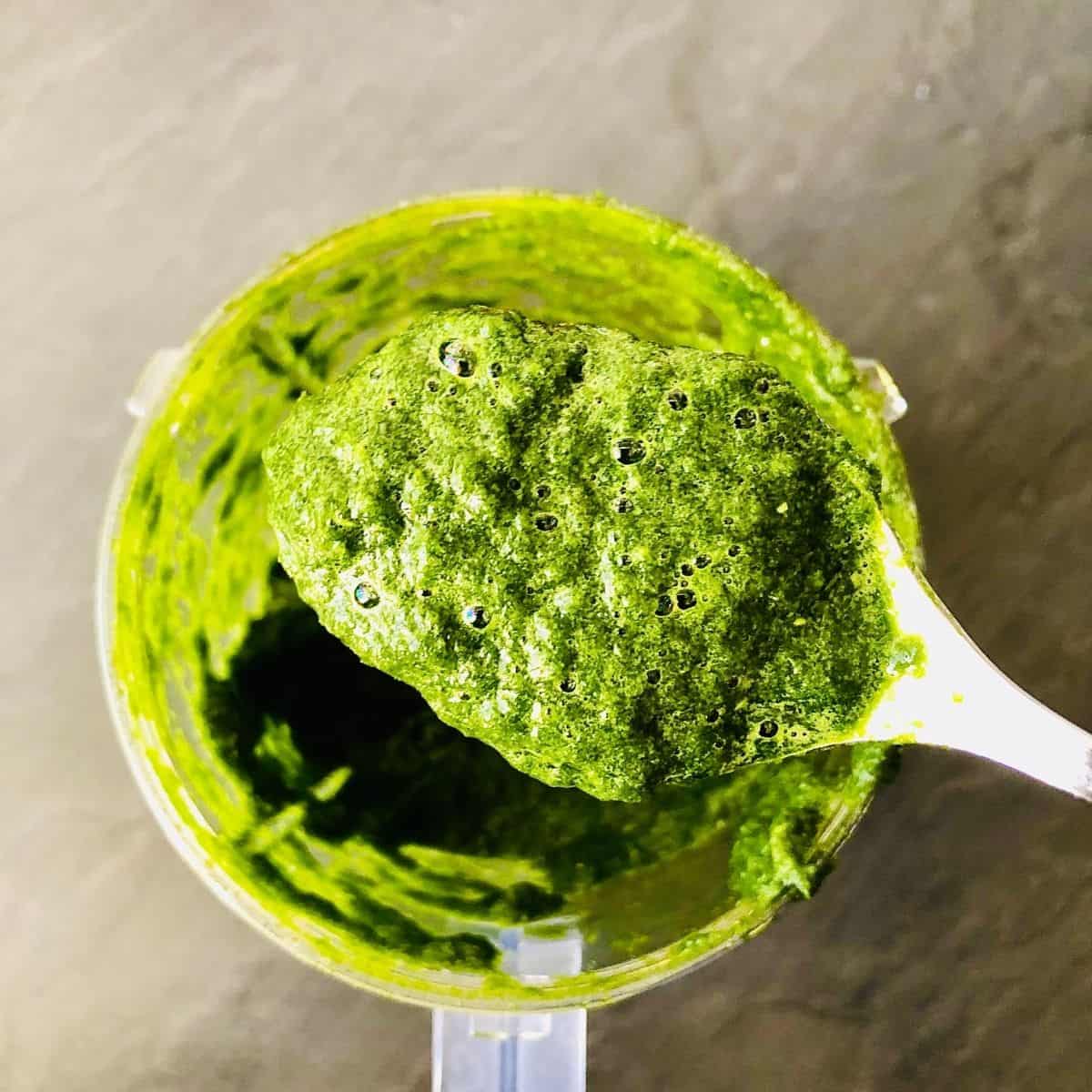 close up of coriander and green chilli puree on a spoon, held above a blender cup containing the puree