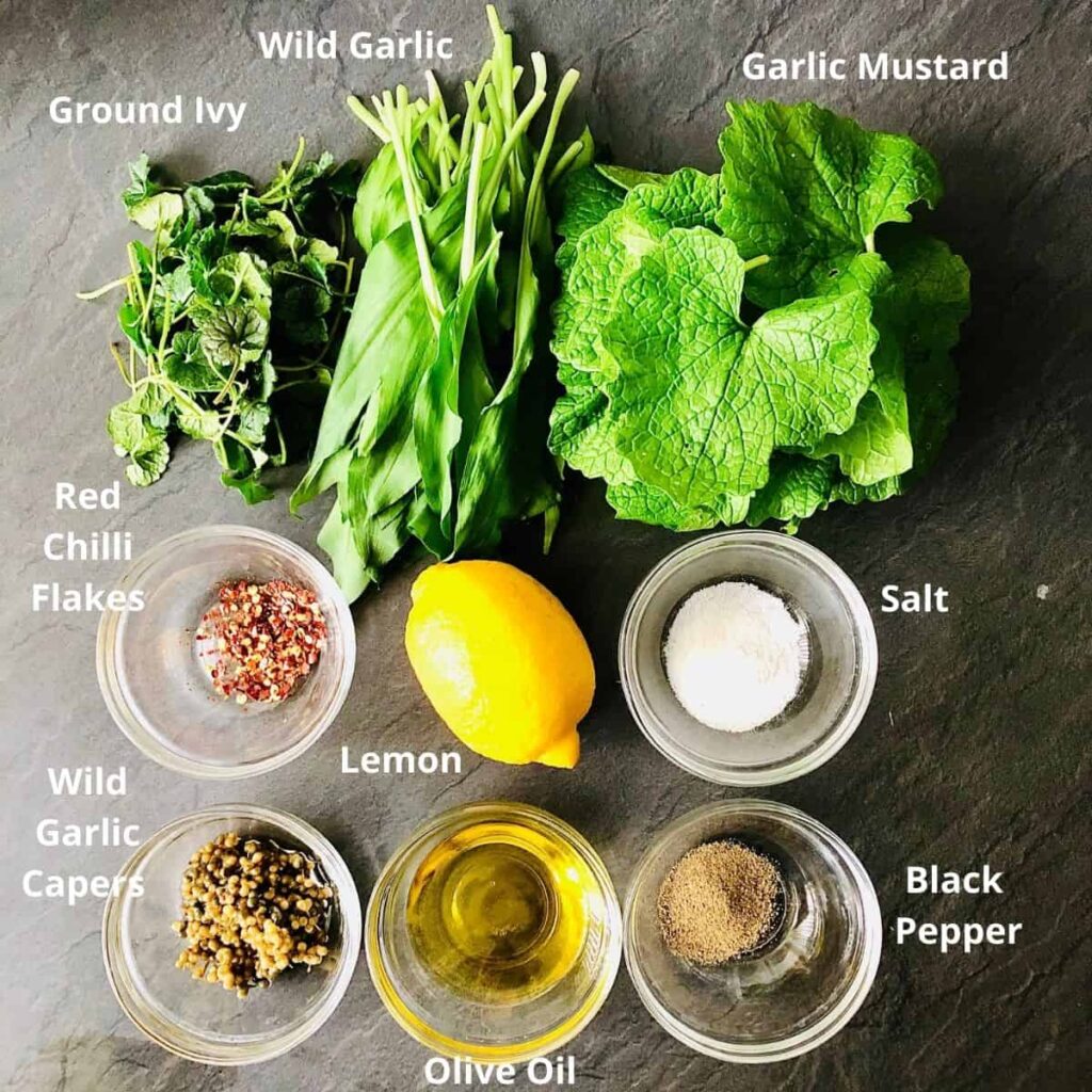 Ingredients for foraged wild greens Salsa Verde in small glass dishes. Annotated.