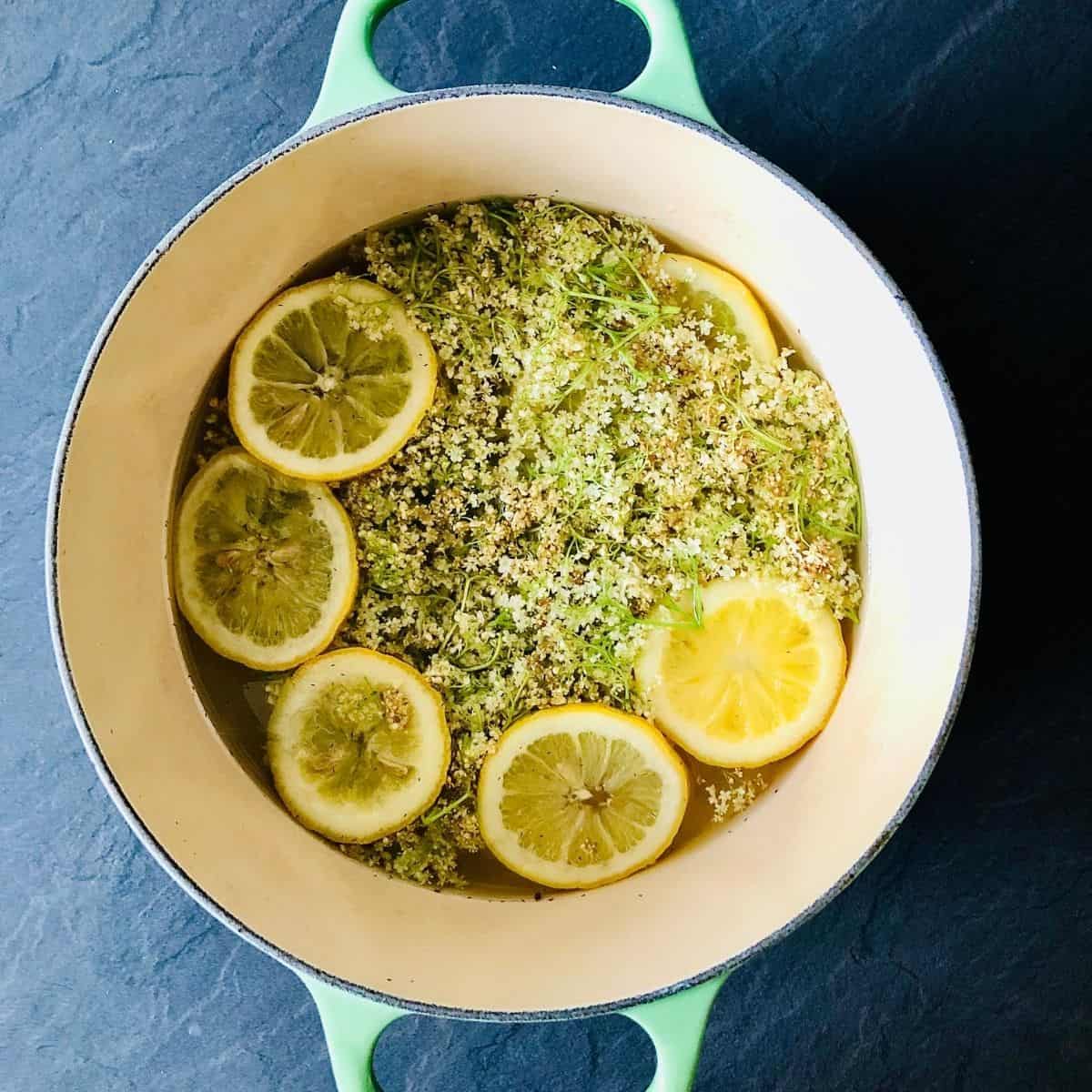 A pot containing elderflowers infusing in sugar syrup with lemon slices