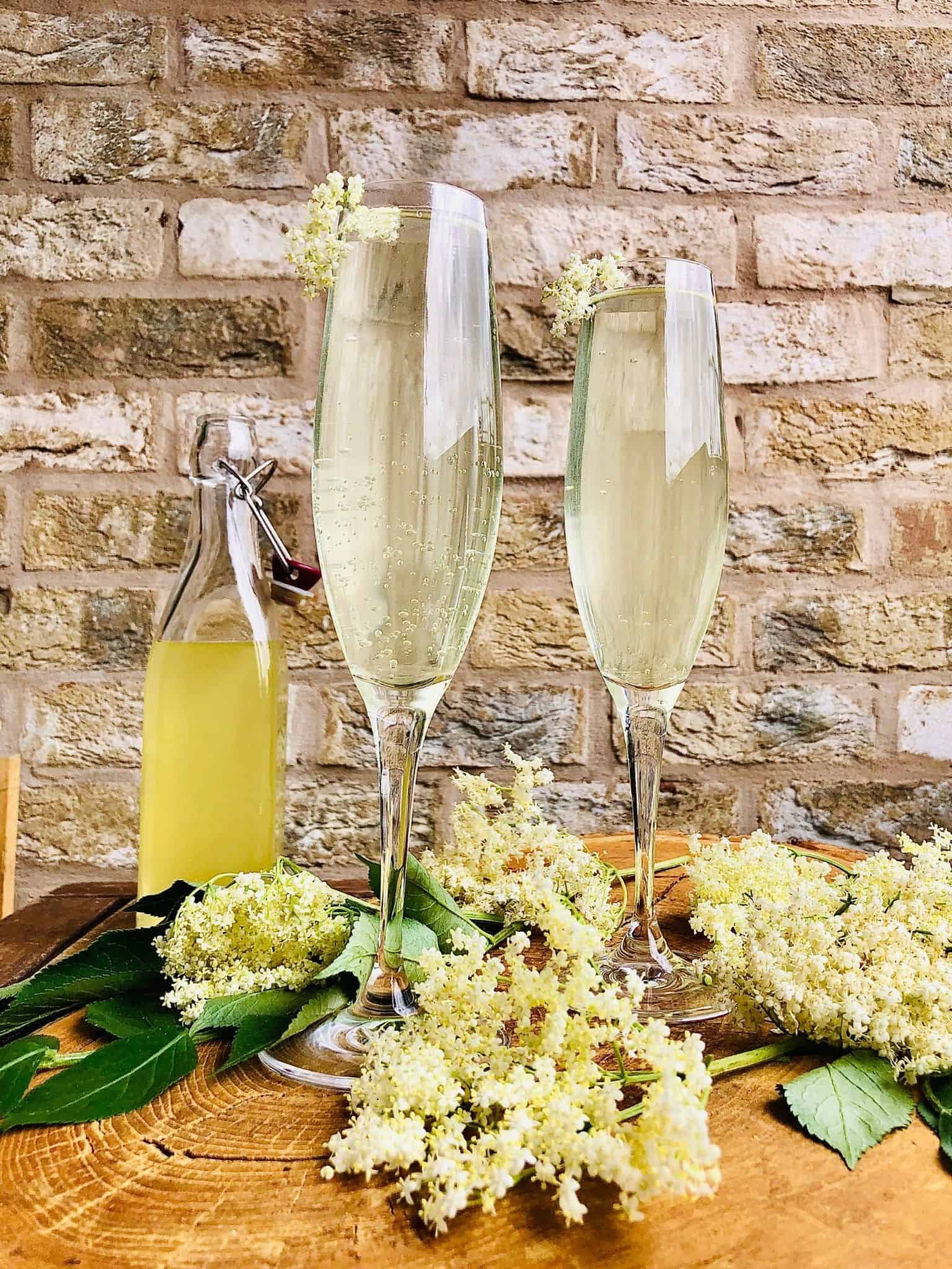Two champagne glasses containing sparkling elderflower cordial surrounded by elderflowers