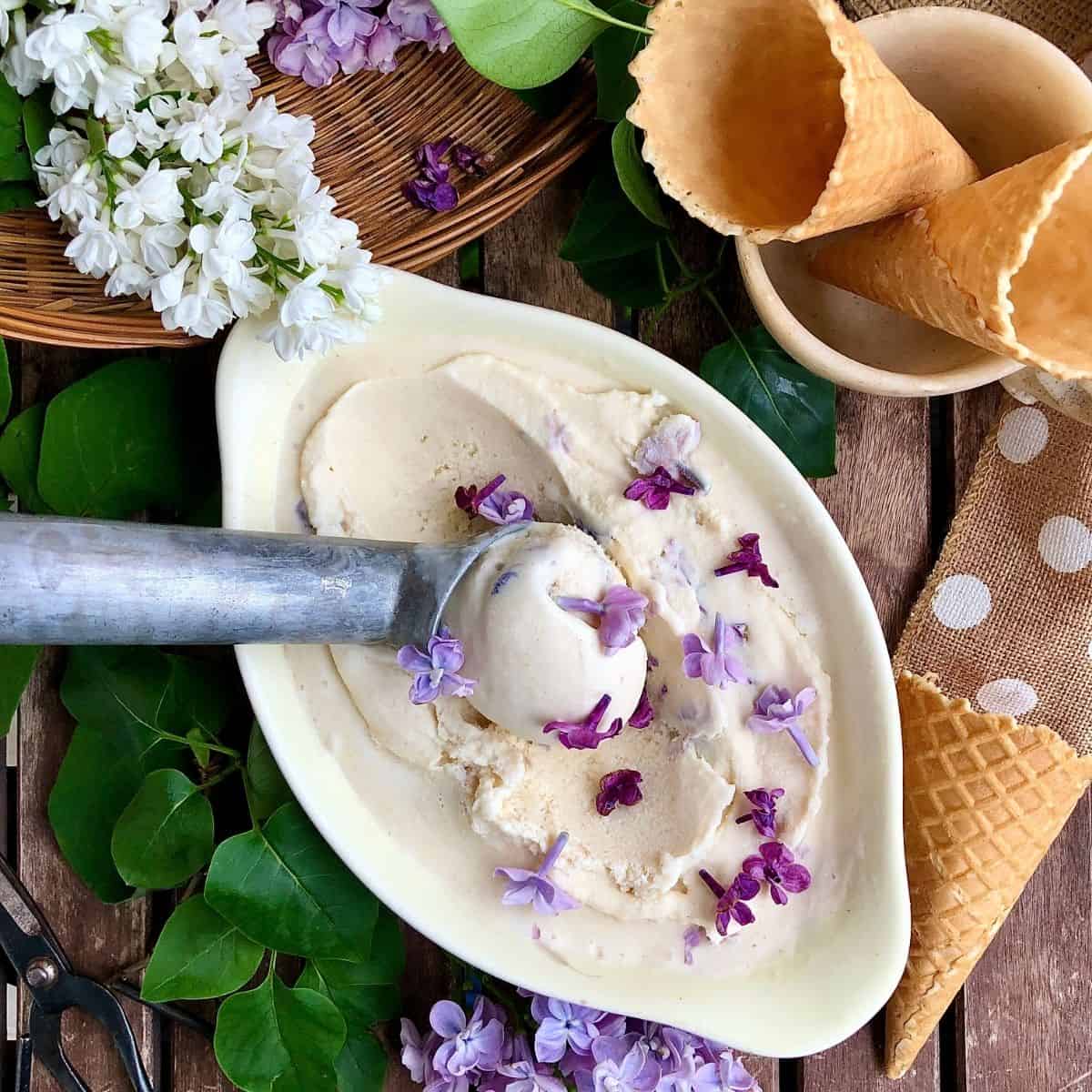 A shallow dish containing lilac nice cream decorated with lilac flowers. A scoop containing ice cream sits in the dish.