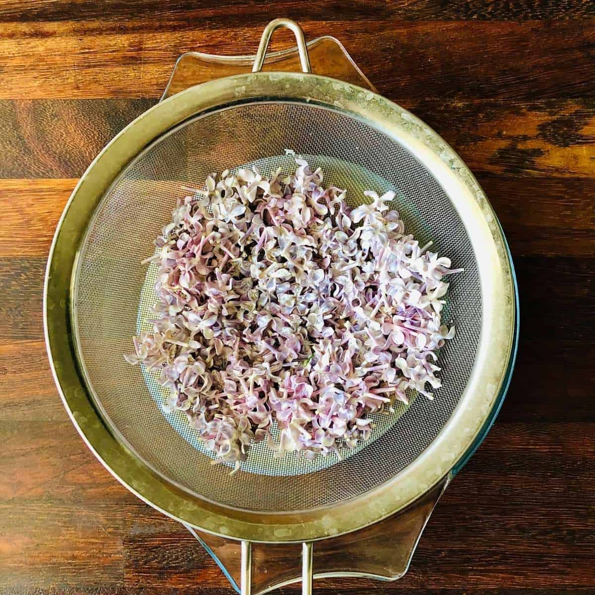 A fine sieve containing strained lilac flowers over a bowl containing infused whipping cream