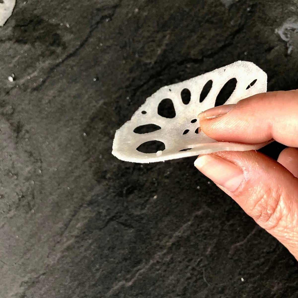 A close up of a slice of lotus root ready for frying to make a lotus crisp, held between two fingers.