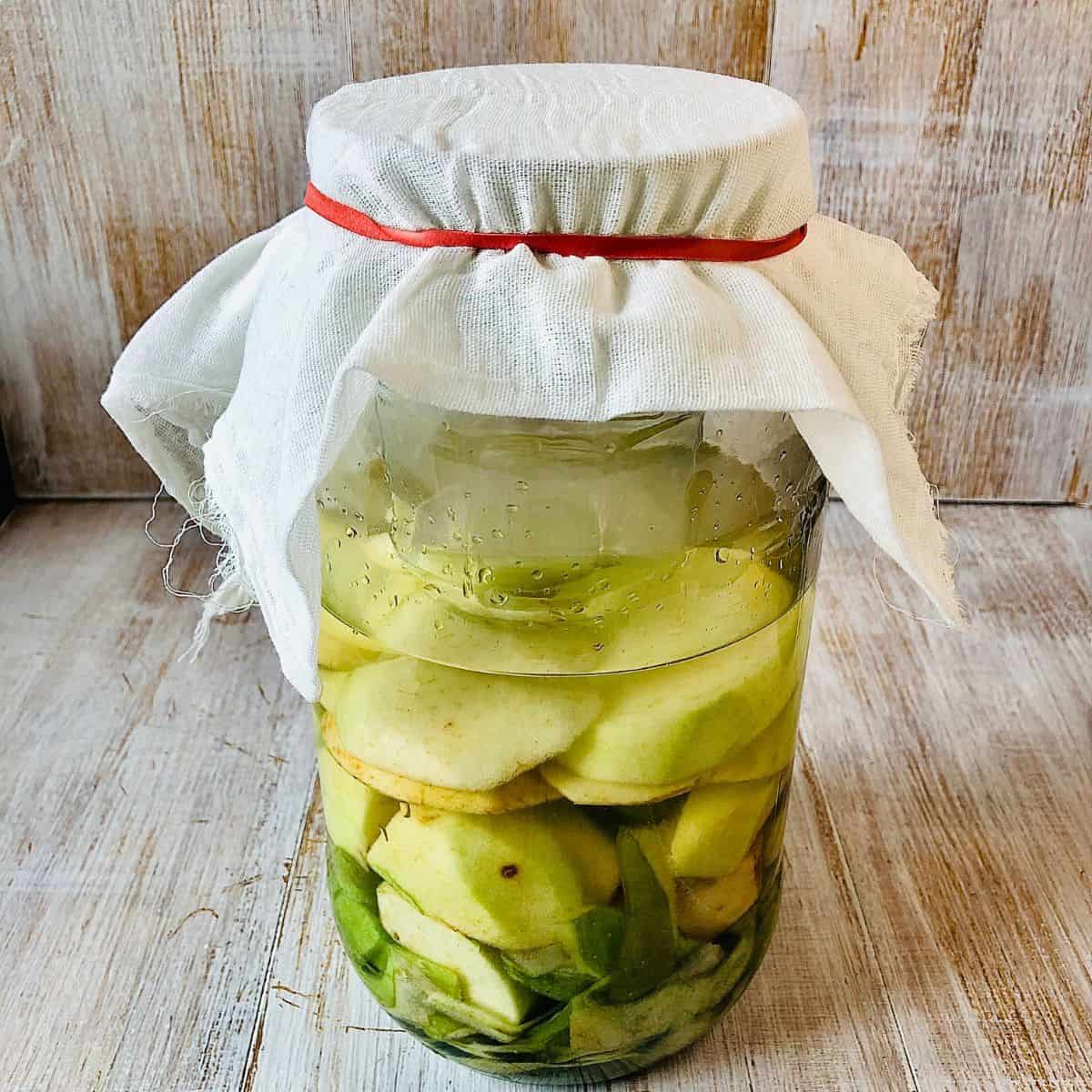 A large jar containing apple cores and peels in water, covered with a muslin cloth, secured by an elastic band.