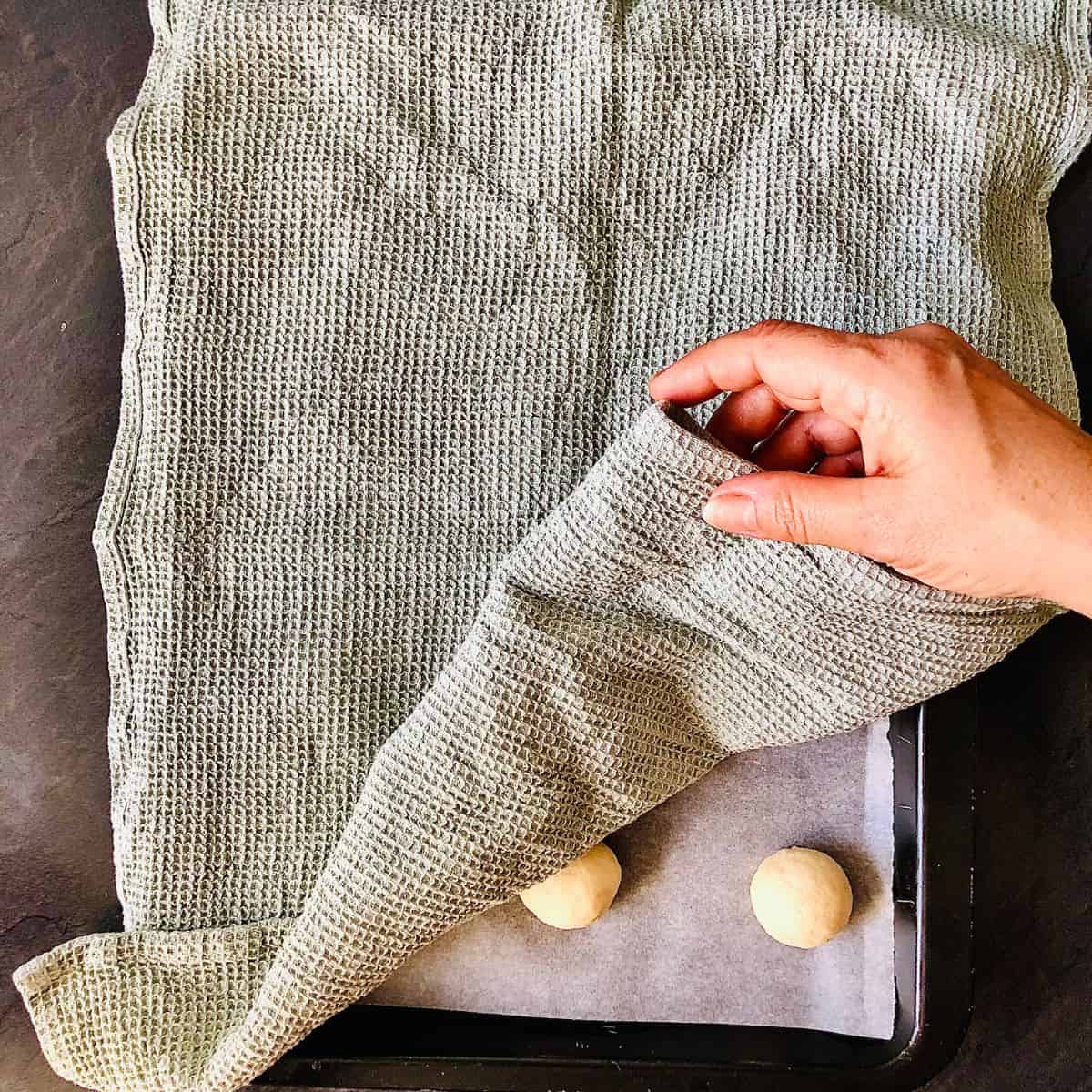 Small brioche bun dough balls on a baking tray, covered with a tea towel lifted at one edge by a hand, showing two dough balls, ready to prove.
