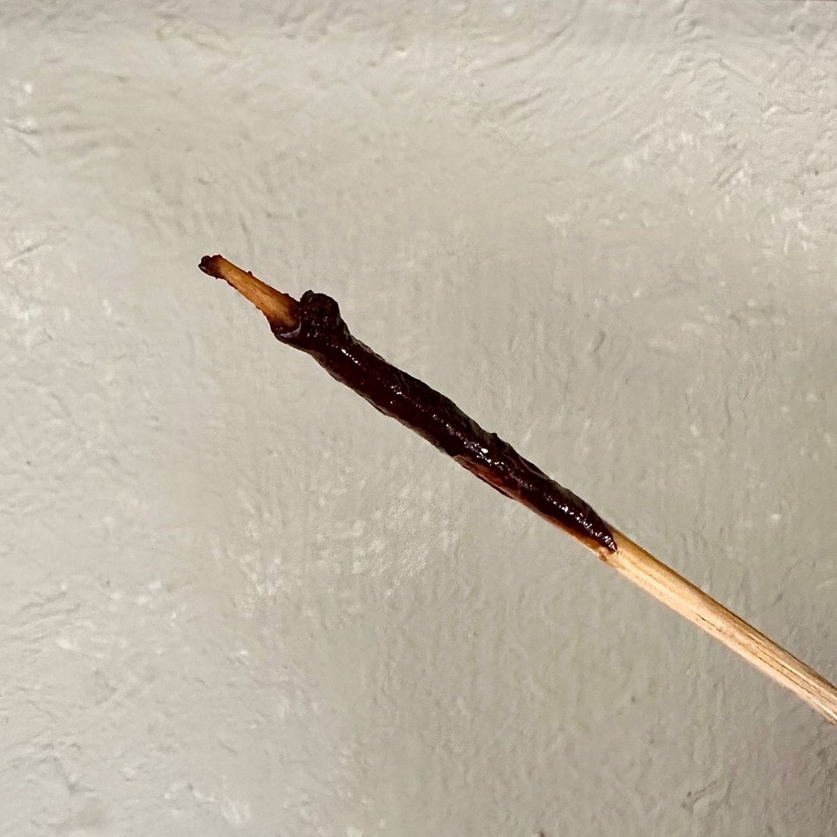 Close up of the end of a wooden skewer with a smear of chocolate on it.