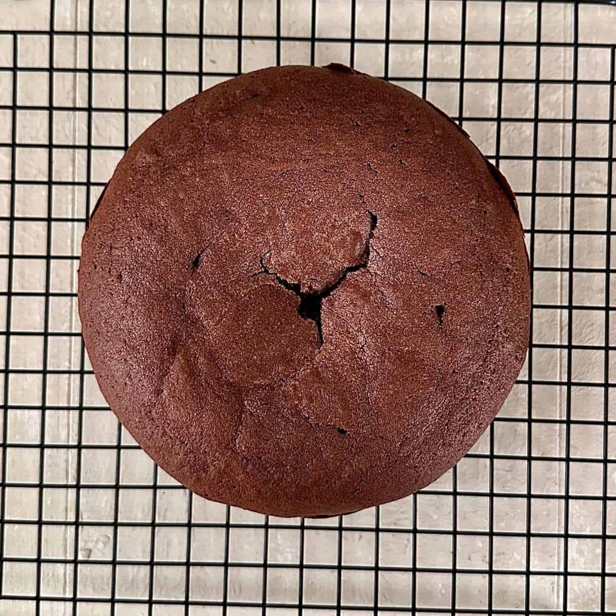A six inch dark chocolate mud cake cooling on a wire rack.