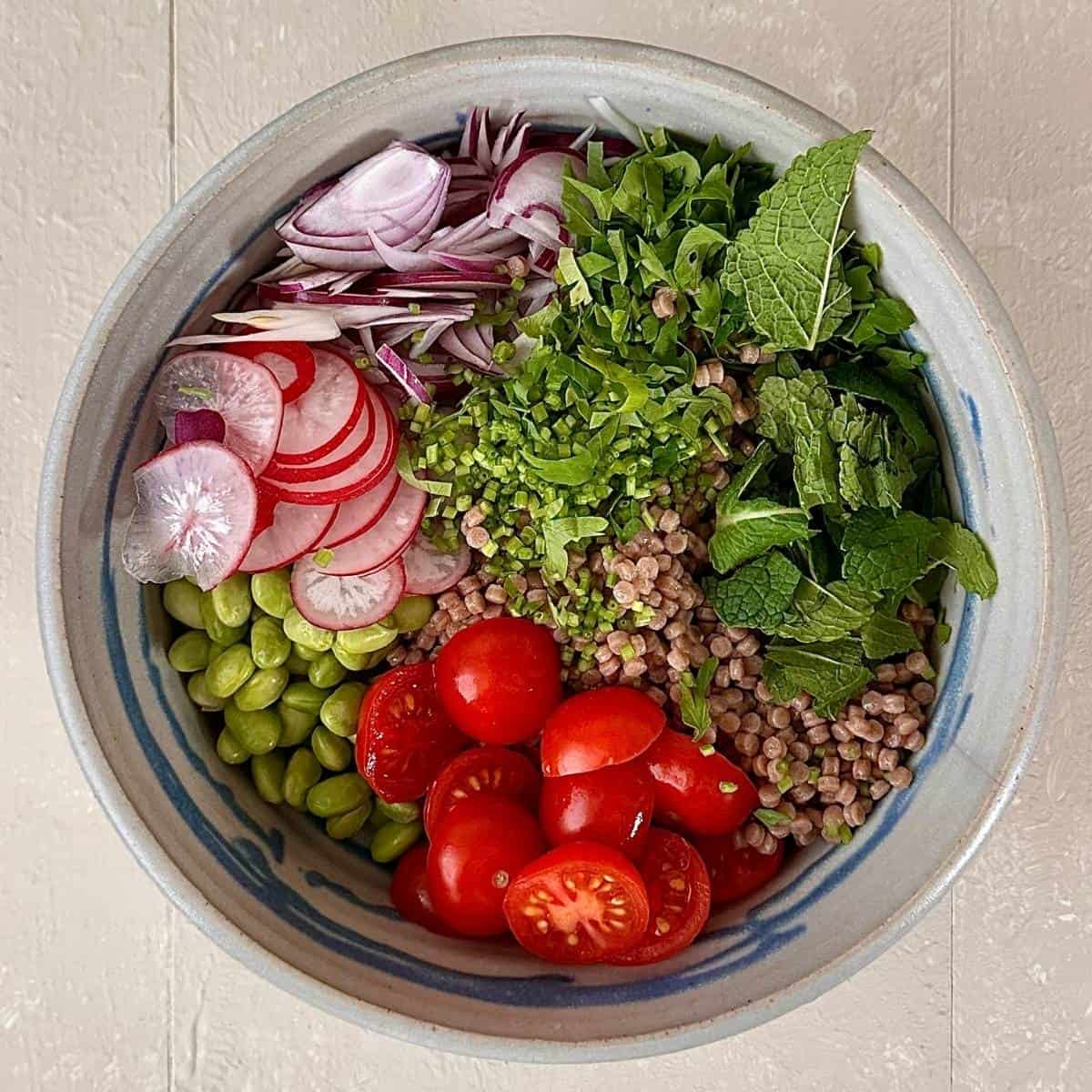A bowl containing ingredients for za'atar halloumi couscous salad. Cherry tomatoes, edamame, giant wholewheat couscous, radish, red onion, chopped parsley and mint can be seen.