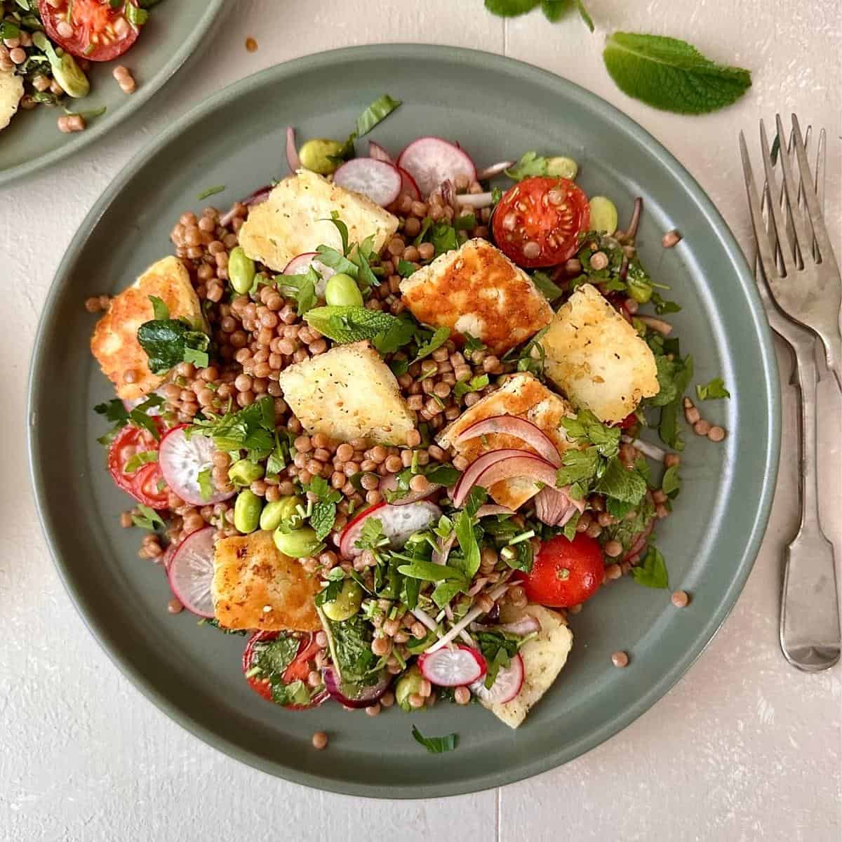 Zaatar halloumi couscous salad with pomegranate dressing, herbs and radishes.