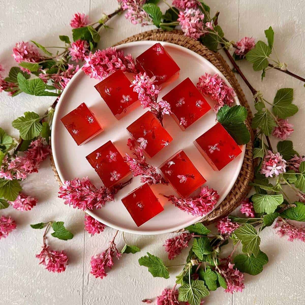 A white plate containing 9 flowering current jelly dessert cubes about 1 inch in size. The plate and surrounding area is decorated with flowering current foliage.
