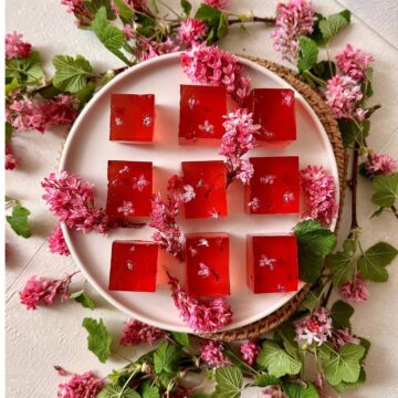 Flowering currant jelly cubes on a white plate surrounded by pink flowering currant blossoms.