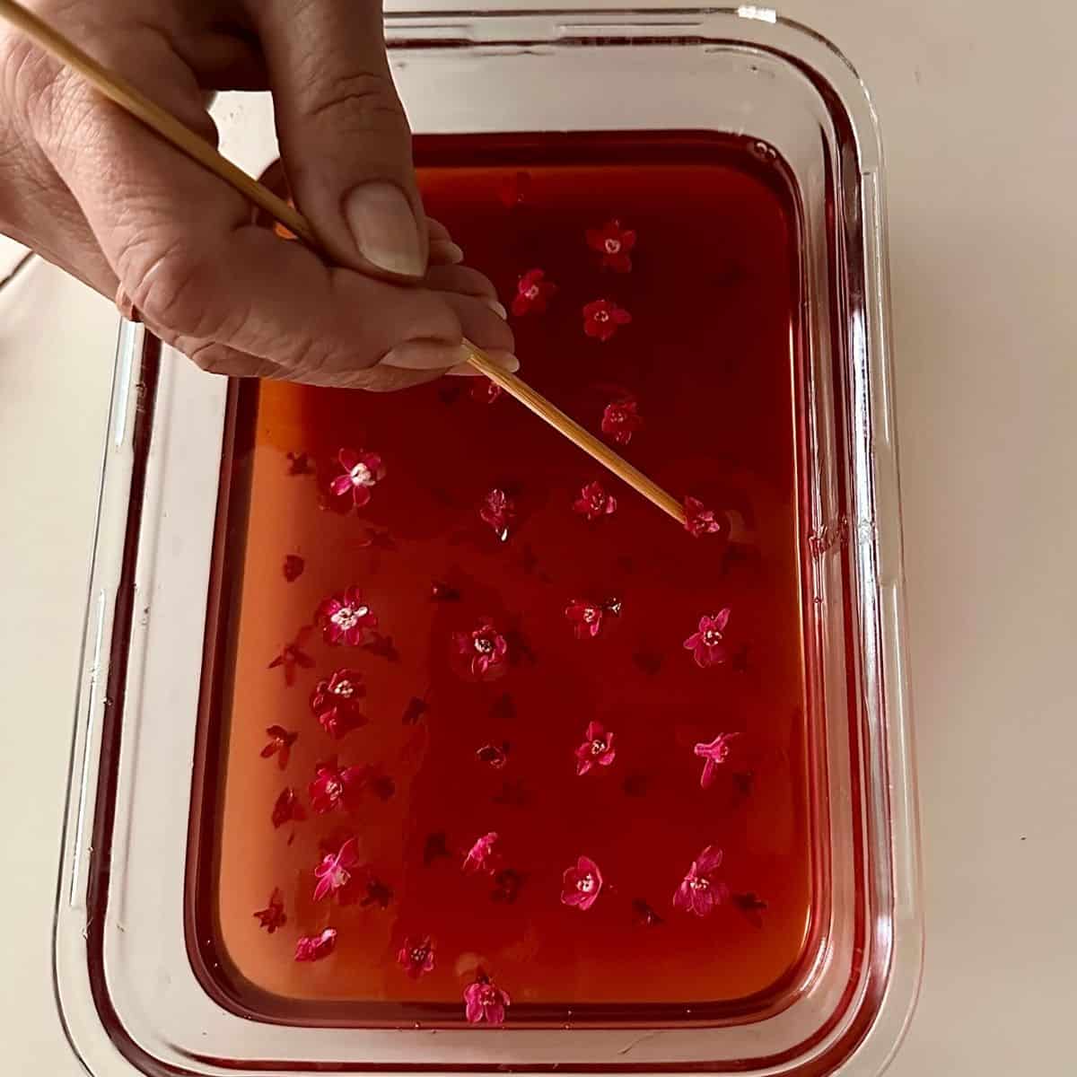 A glass dish containing flowering current jelly dessert. Individual towering current flowers are being set into the jelly at even spaces.