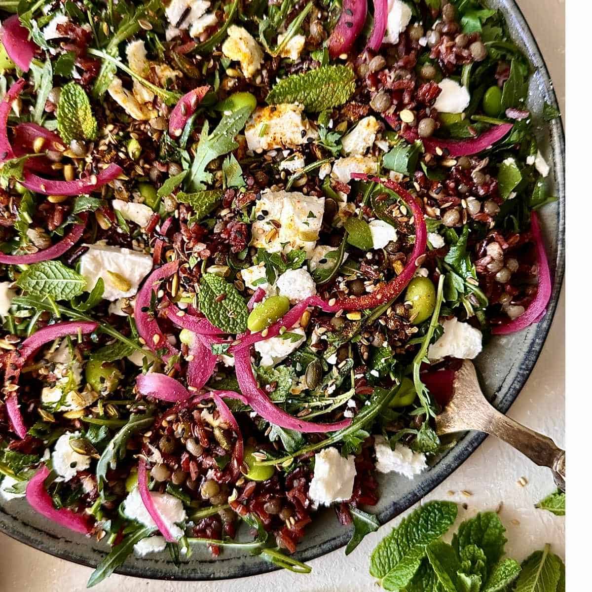 a close up ofCamargue red rice, lentil and feta salad with edamame beans, fresh herbs and preserved lemon dressing. Serving suggestion.