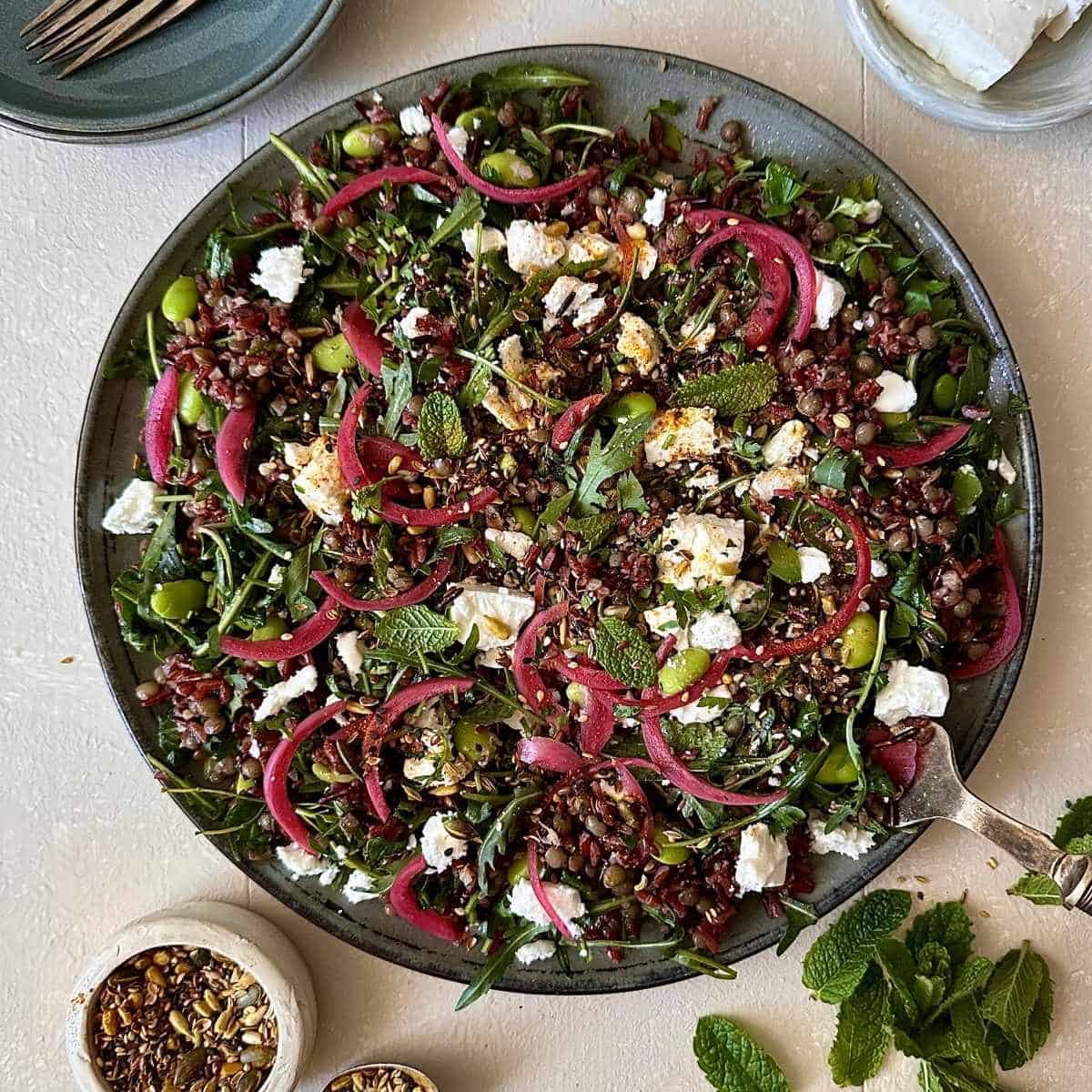 Camargue red rice, lentil and feta salad with edamame beans, rocket, herbs and pickled red onion on a serving platter.
