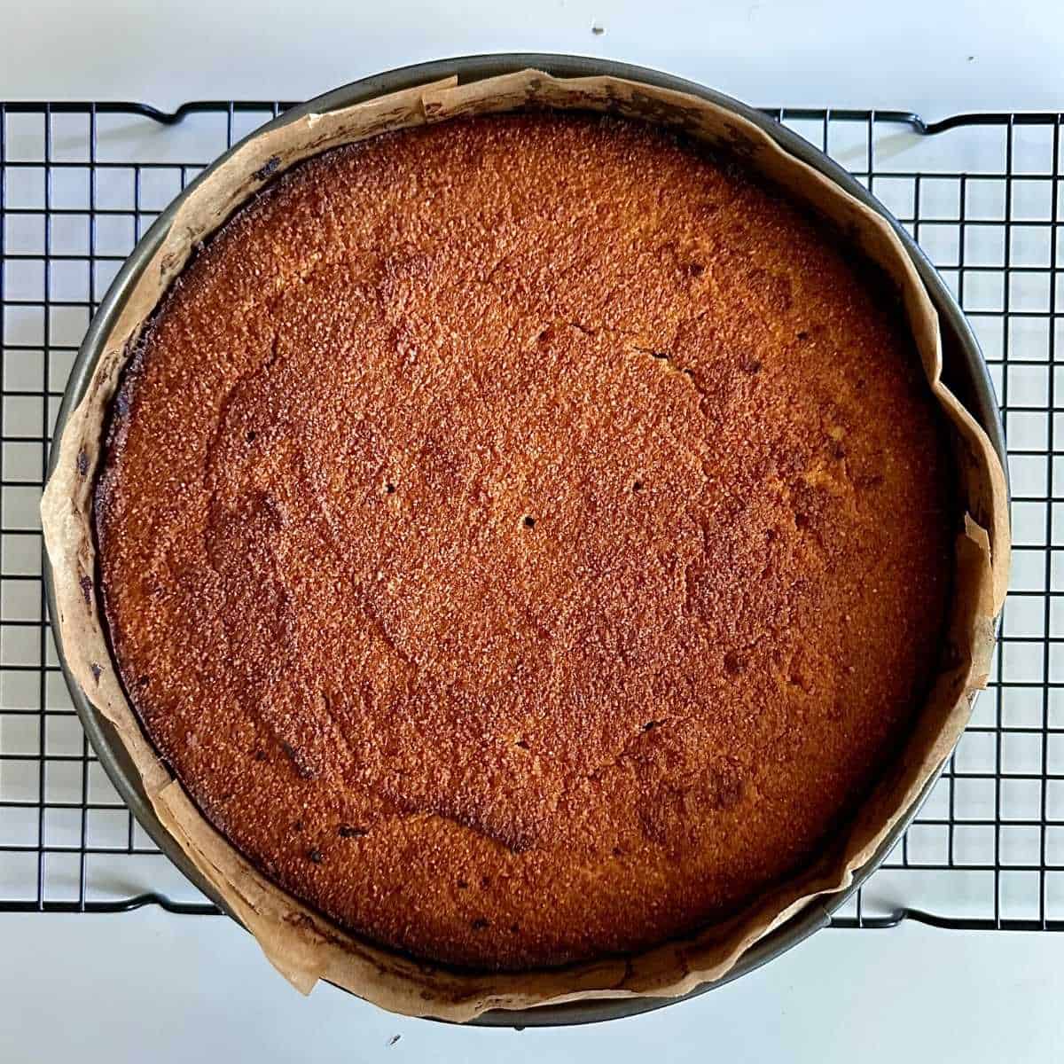 Baked Orange polenta cake in a baking tin, cooling down on wire rack.