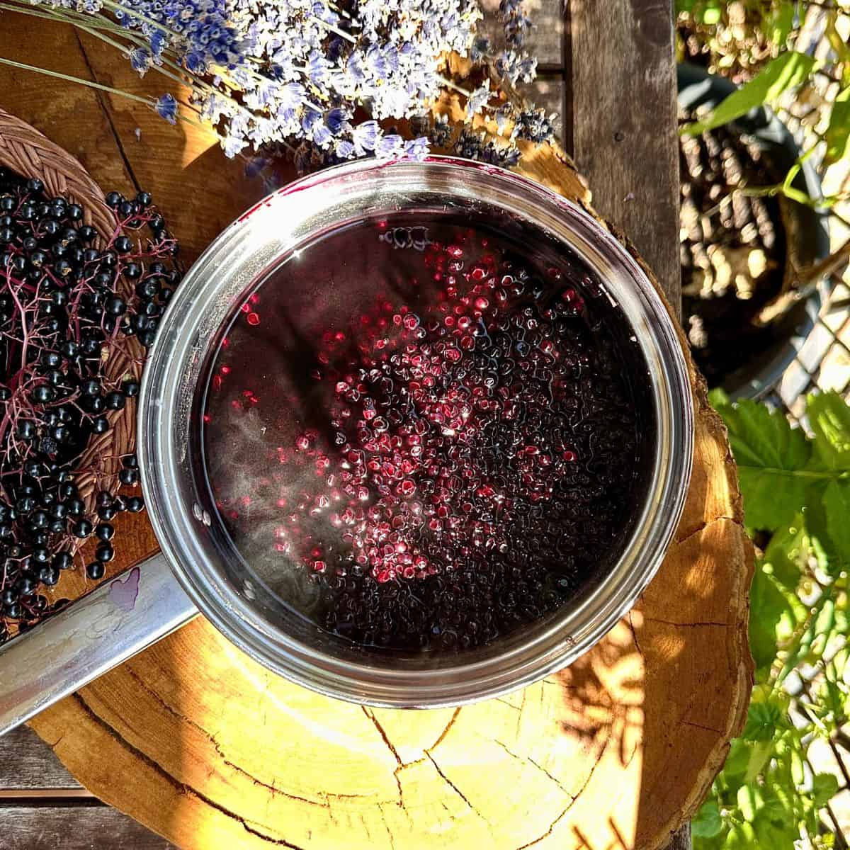 A steel saucepan containing elderberries in water after boiling and simmering. For elderberry and lavender ice cream.