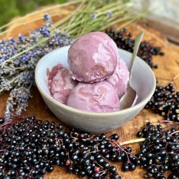 A dessert bowl containing three scoops of elderberry and lavender ice cream. The bowl is surrounded by elderberries on their stems and lavender.