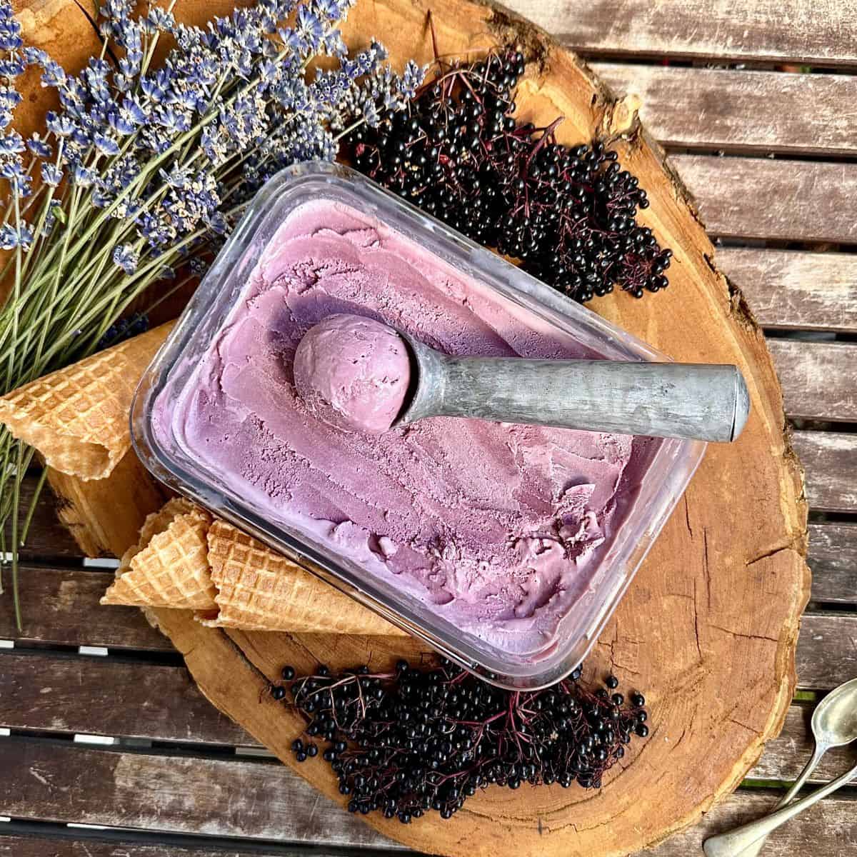 Elderberry lavender ice cream in a glass dish. Scoop with ice cream in it sits on top of the dish. The dish is surrounded nt elderberry on their stems, ice cream cones and lavender.