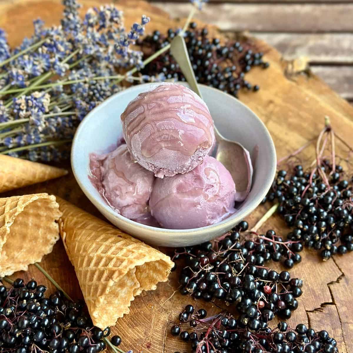 A dessert bowl containing three scoops of elderberry and lavender ice cream. The bowl is surrounded by elderberry's on their stems, lavender and ice cream cones.