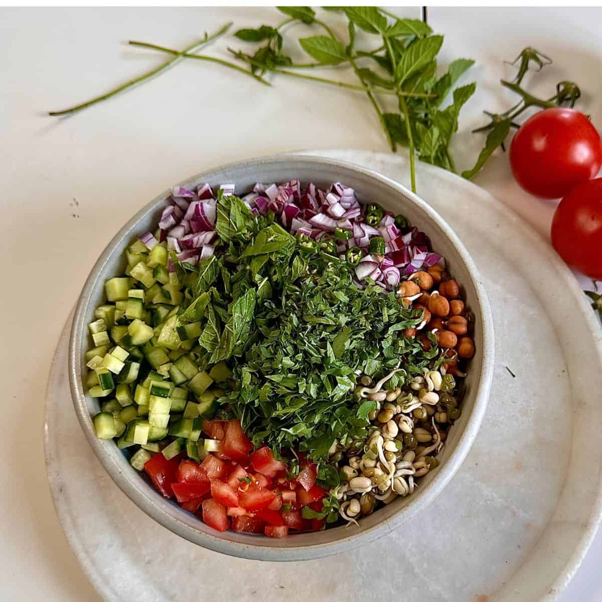 A bowl containing finely diced cucumber, tomato and red onion, chopped fresh mint and coriander and kala chana and green mung bean sprouts. For kachumber recipe.