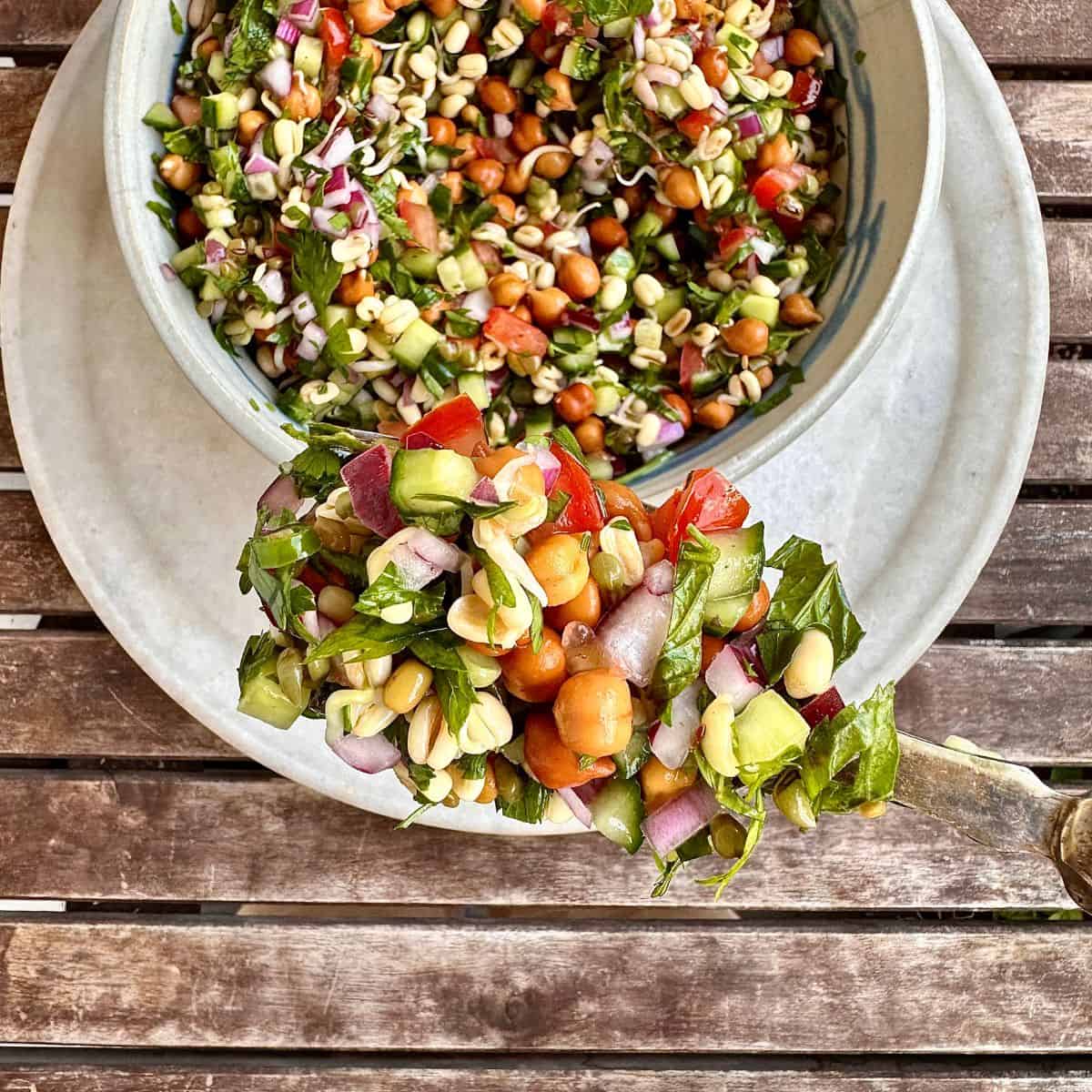 A bowl of kachumber salad with sprouts. A spoon contain ingredients the kachumber salad is held close to the camera.
