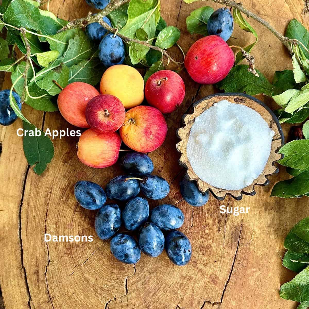 ingredients for a damson and crab apple fruit leather recipe laid onto a rustic wooden platter. The ingredients are annotated.
