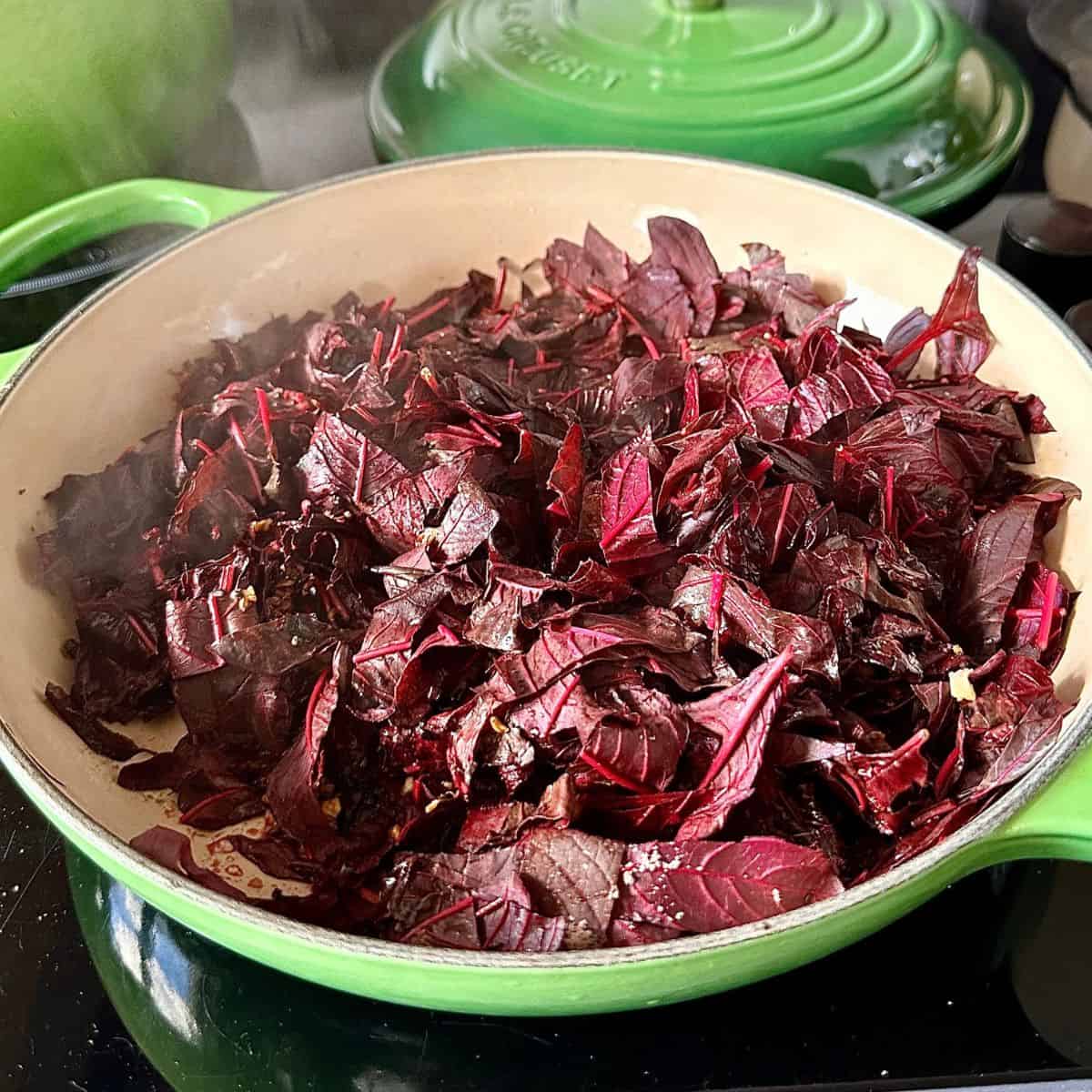 Amaranth leaves and stems steaming in a large green casserole. For a lal saag recipe.